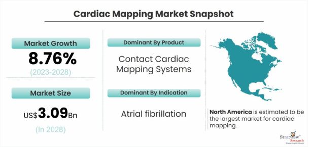 Cardiac-Mapping-Market-Dynamics